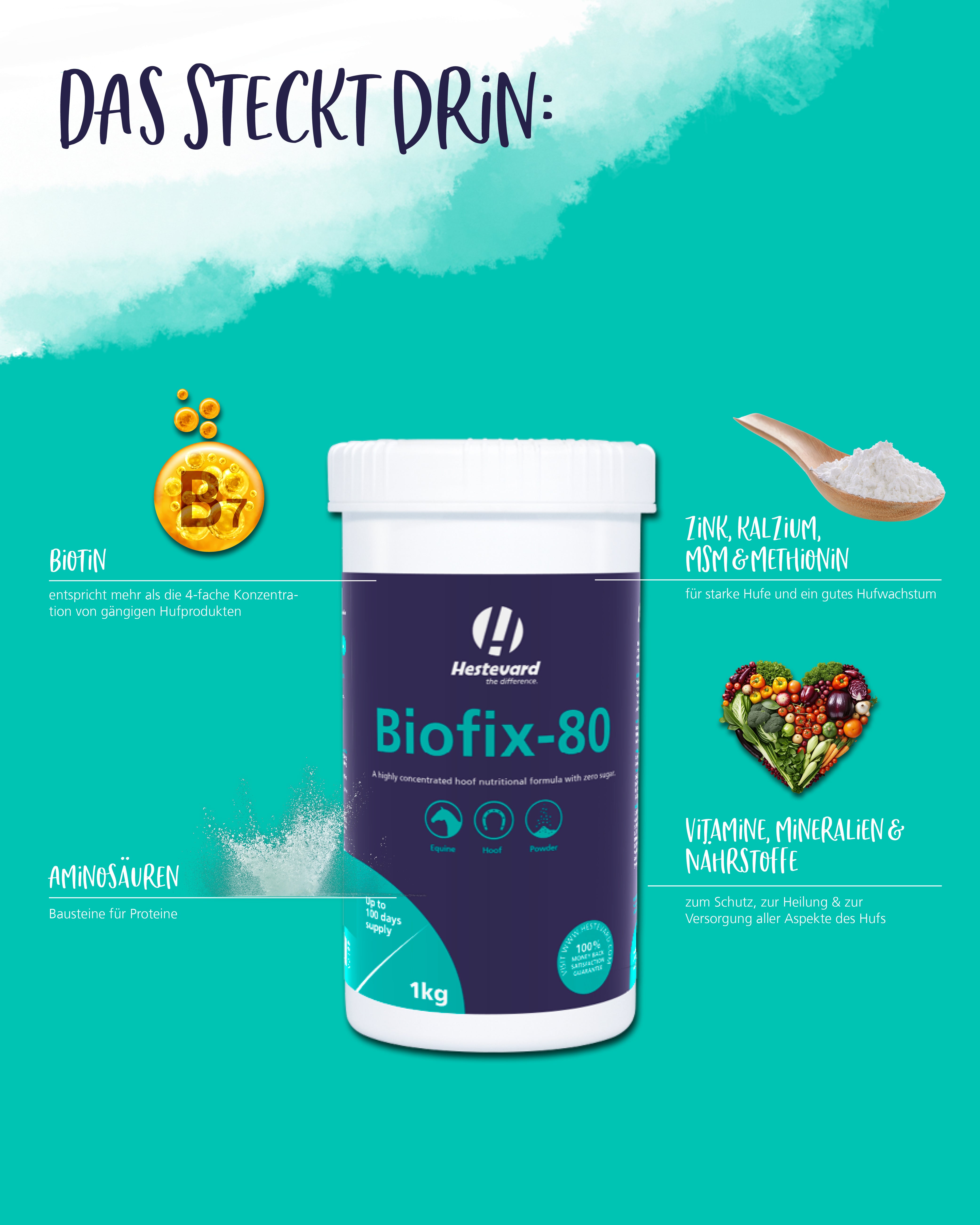 Biofix 80 biotin msm inhaltsstoffe 