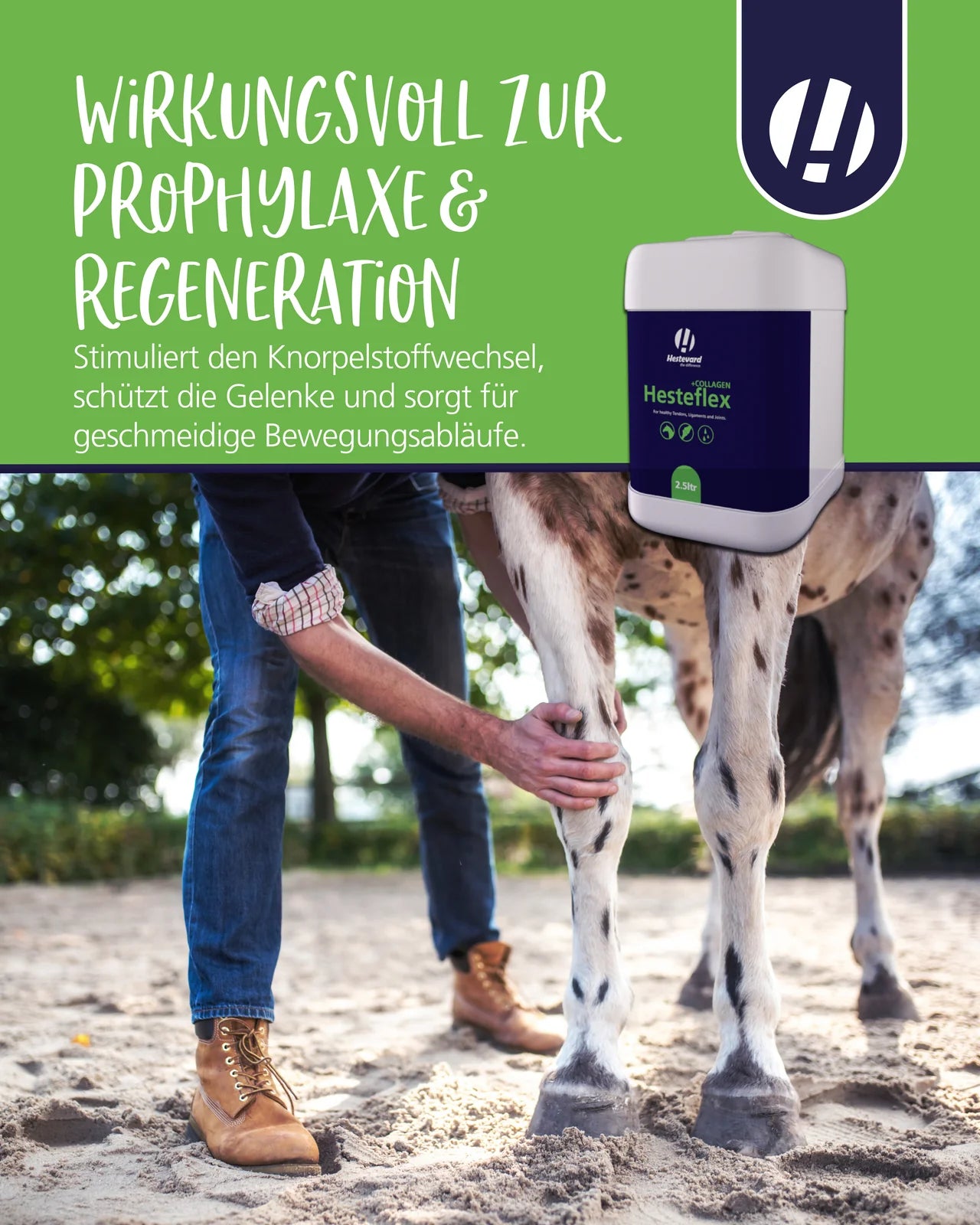 Hestevard Hesteflex COLLAGEN regeneration gelenk