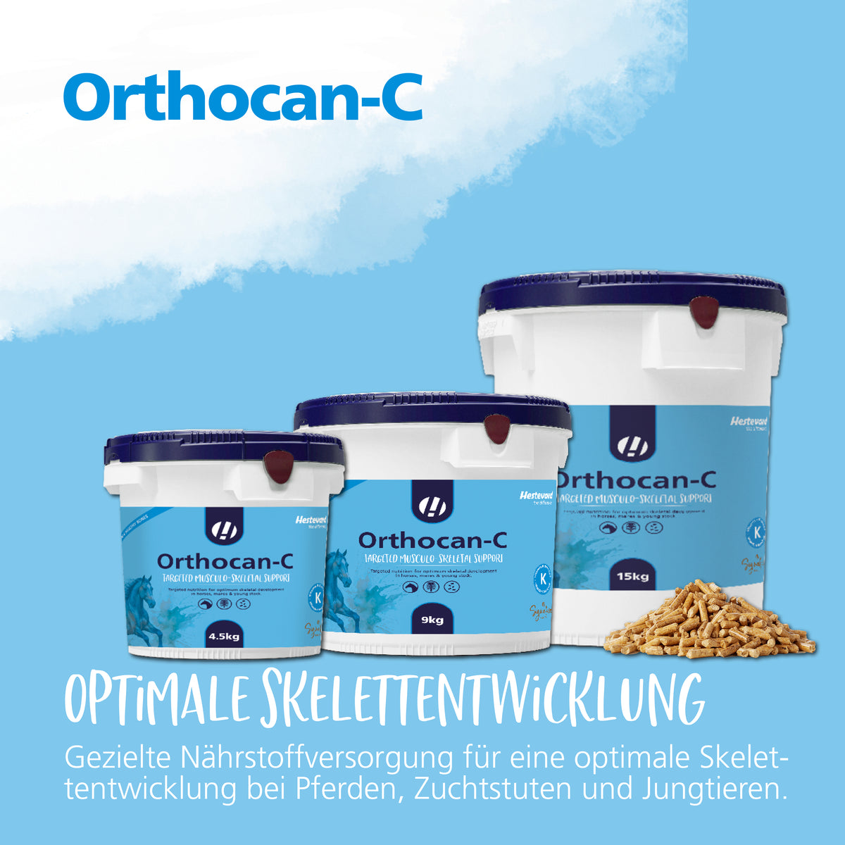 hestevard orthocan c  skelettentwicklung