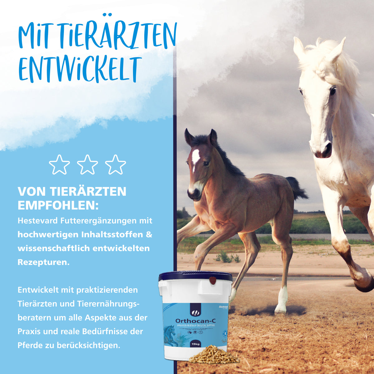 hestevard orthocan c tierarzt