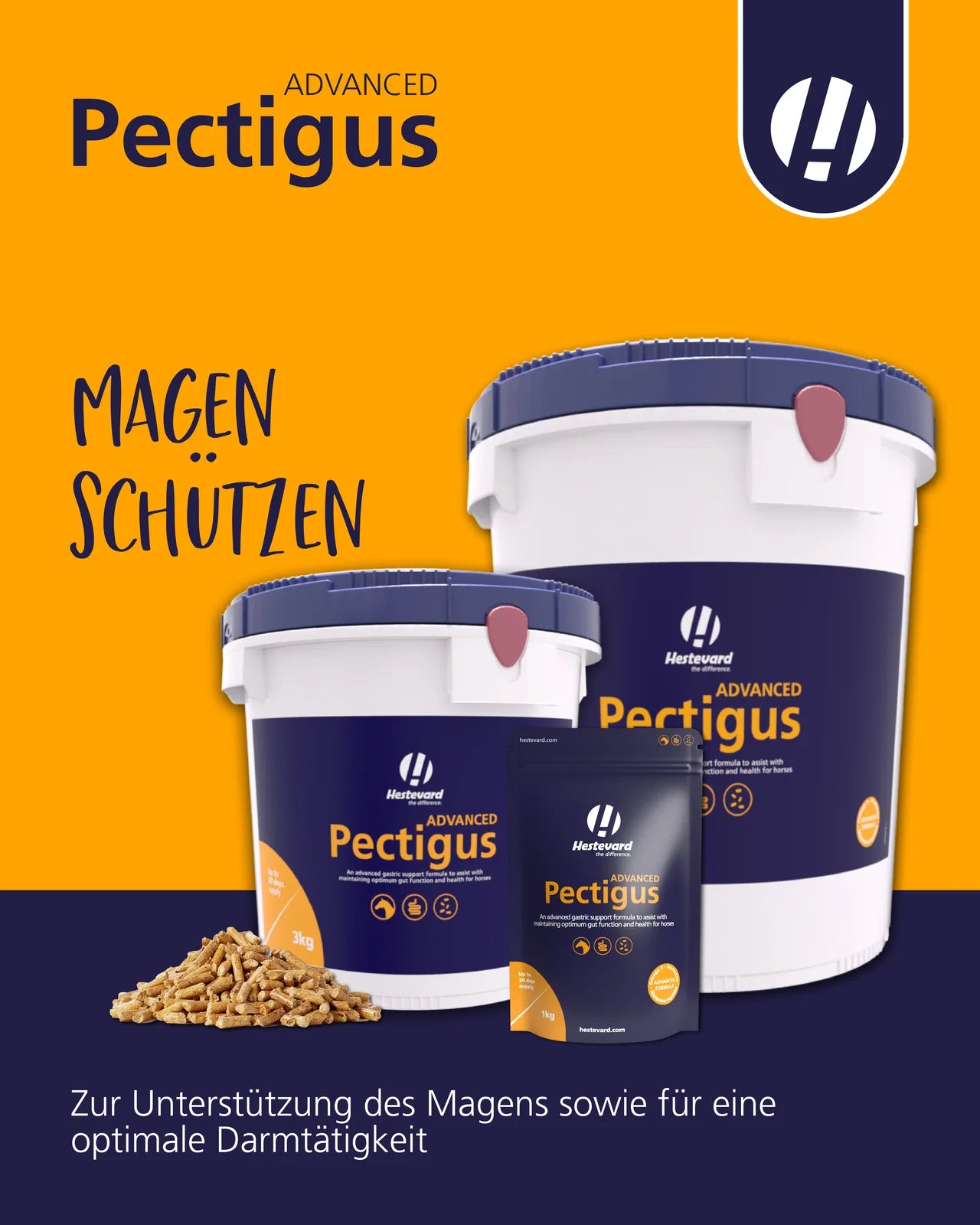 Hestevard Pectigus magenschutz