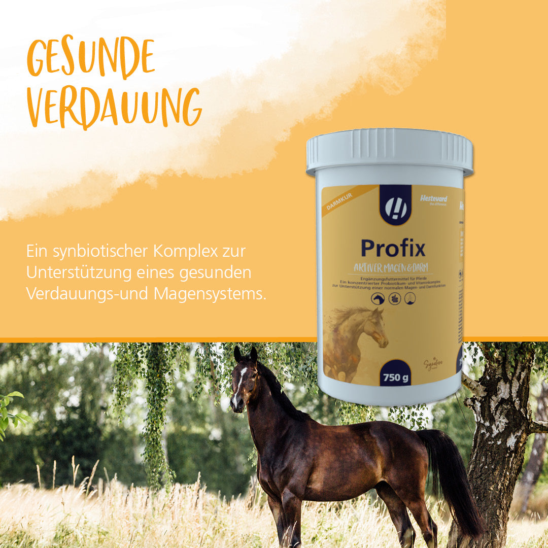 hestevard profix verdauung magen