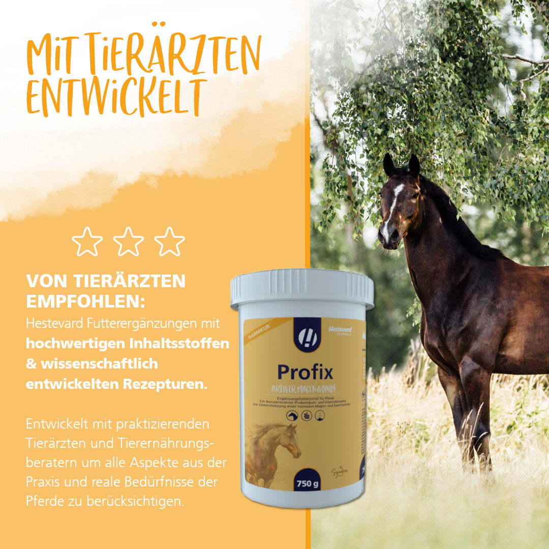 hestevard profix tierarzt