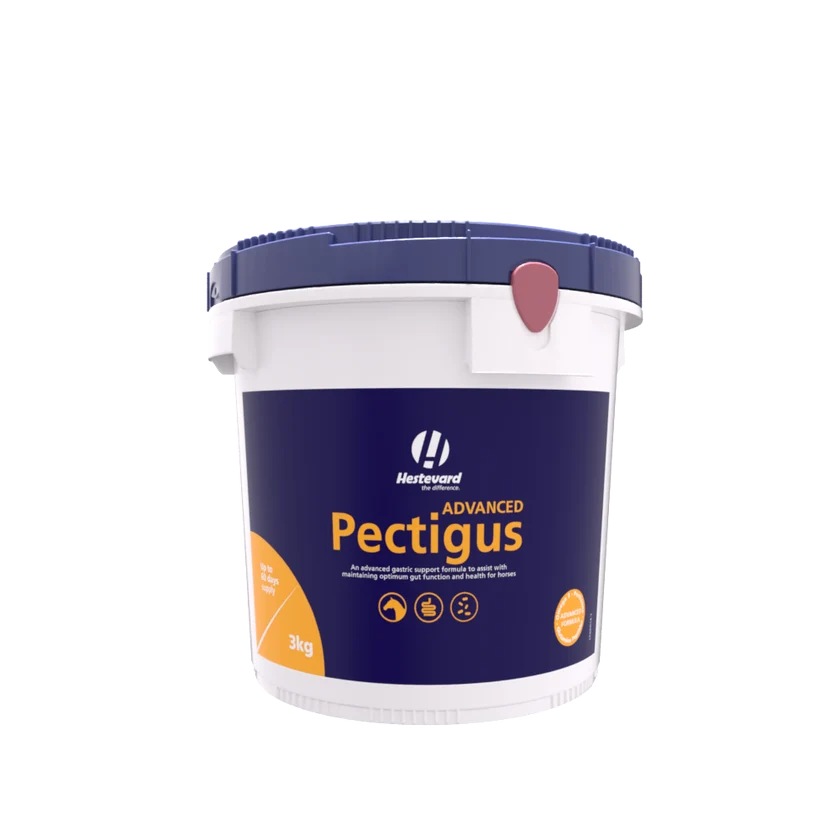 Hestevard Pectigus 3kg