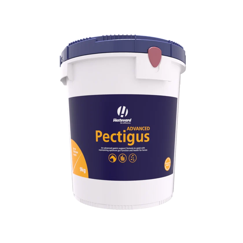 Hestevard Pectigus 9kg